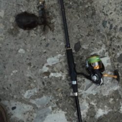 ランガンエギング