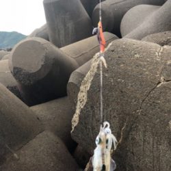 はじめての爆釣