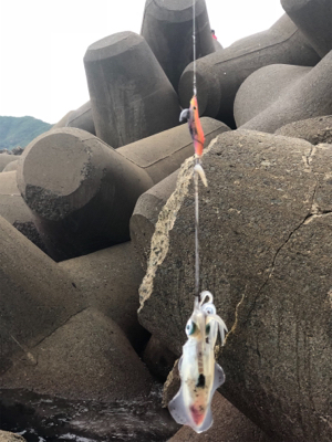 はじめての爆釣