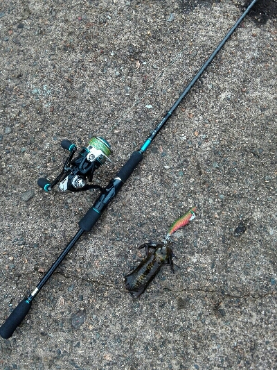 朝から絶好調！！