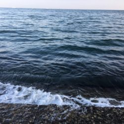 なんとか釣れました(^_^;)