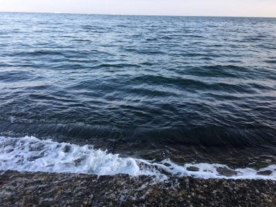 なんとか釣れました(^_^;)