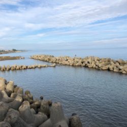 朝まずめ短時間勝負