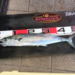 釣り公園五目釣り