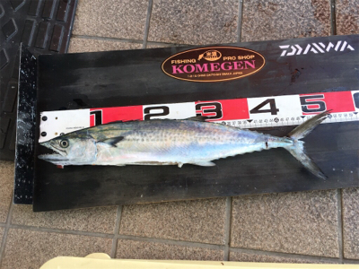 釣り公園五目釣り