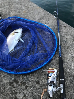 早朝ショアジギングでまさかの・・・