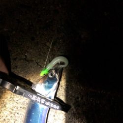 スローワインド!