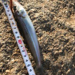 キス渋い…(＞＜)