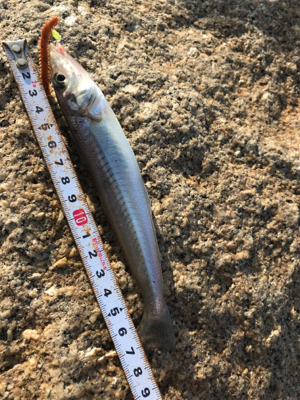 キス渋い…(＞＜)