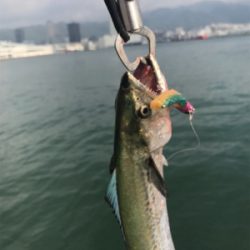 サゴシオンリーサミシー