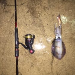 和歌山中紀から舞鶴に遠征