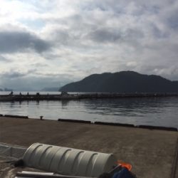 イカ釣りのはずが。。