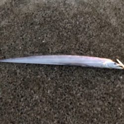 予想外の5目達成