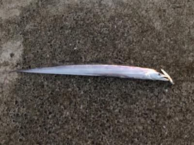 予想外の5目達成