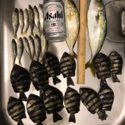 ファミリーサビキ