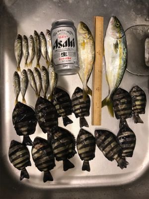 ファミリーサビキ