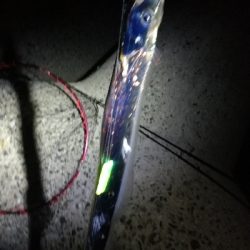 グロージグとケミホタルジグ