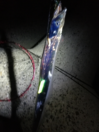 グロージグとケミホタルジグ