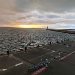 初アオリin直江津ハッピー