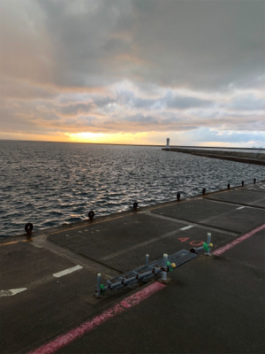 初アオリin直江津ハッピー