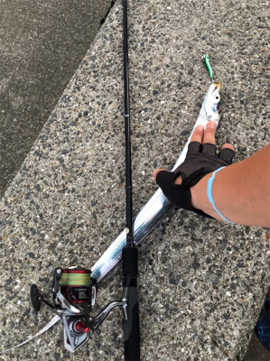 タチウオ確変中！