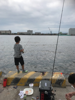 息子とサヨリ釣り