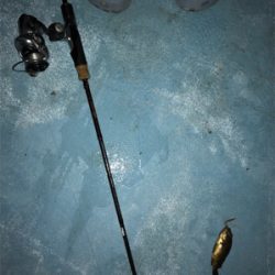 漁港での暇つぶしライトゲーム