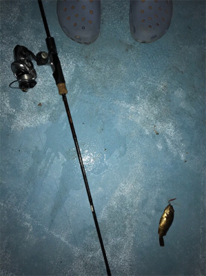 漁港での暇つぶしライトゲーム