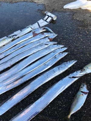 朝にラッシュあり