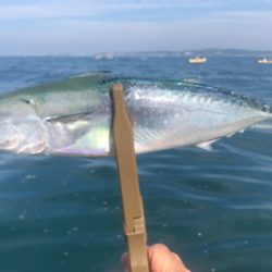 葉山ボードチャレンジ