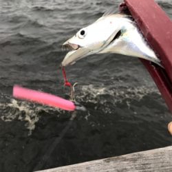 夕まずめ再アタック