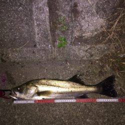 1匹だけでも楽しい^ ^