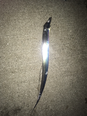 タチウオゲーム泉南好調