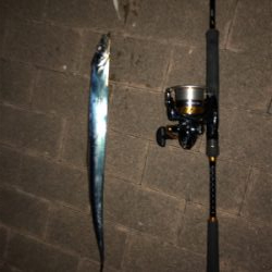 久々のガツーン!