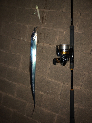 久々のガツーン!