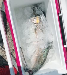 ソルトレイク引田 安戸池