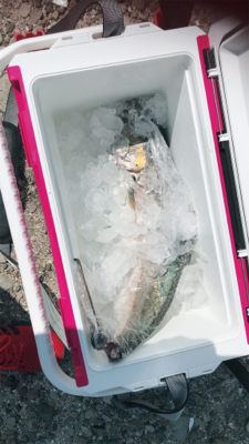 ソルトレイク引田 安戸池