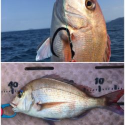 8目釣り！マイボート釣行