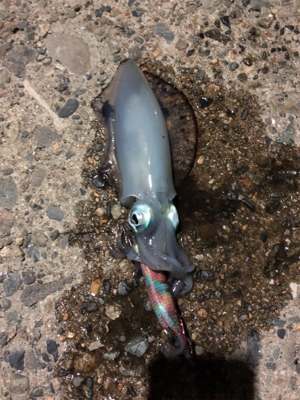 絶景に癒されました！