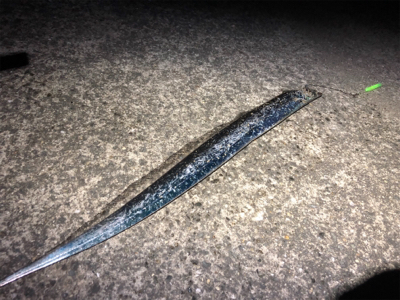 タチウオ＆サバ