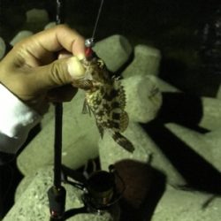 久々のライトゲーム 短時間