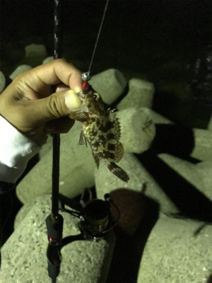 久々のライトゲーム 短時間