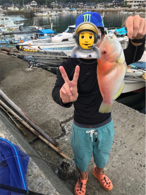 ショアジギング最終日