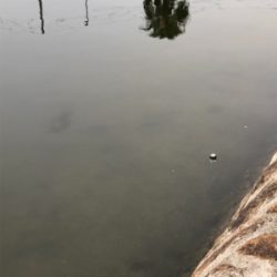 チヌの隠れ家へ釣査！