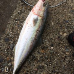 飲んだら釣るな⁉︎