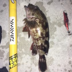 久々の納得釣行