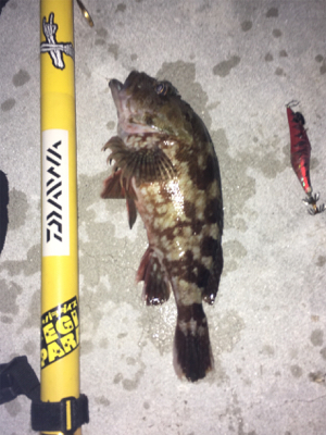 久々の納得釣行