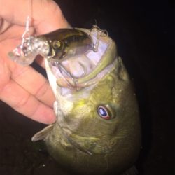 久しぶりのホーム釣行