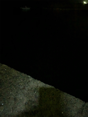 アジングでおかず狩り！