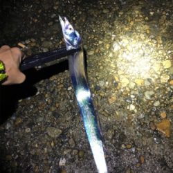 久しぶりにタチウオGET(^｡^)